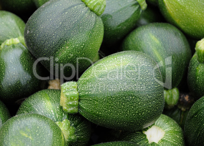 zucchini