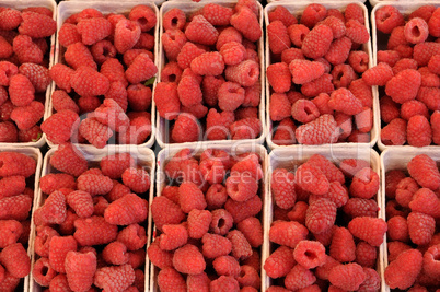 raspberries