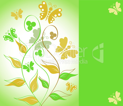 vector greeting card with floral ornament