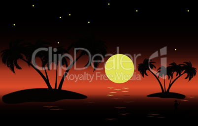 vector tropical palm islands