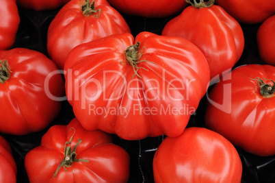 tomato