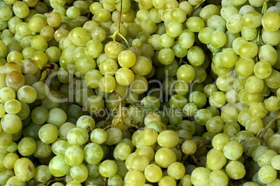 grape