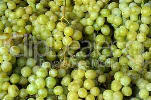 grape