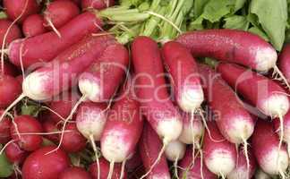 radishes on the market