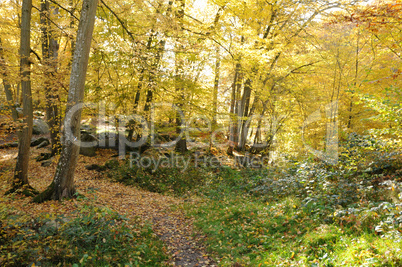 France, Les Vaux de Cernay in Chevreuse valley