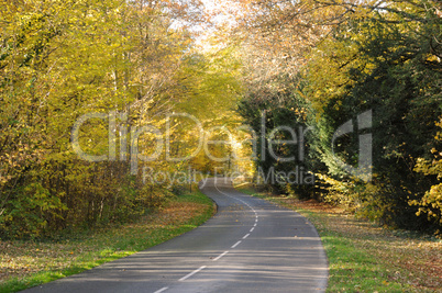 France, a little country road in Chevreuse valley
