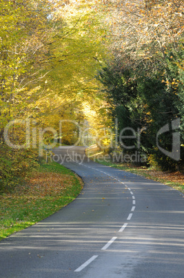 France, a little country road in Chevreuse valley