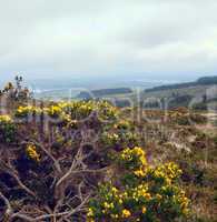 Wicklow mountains