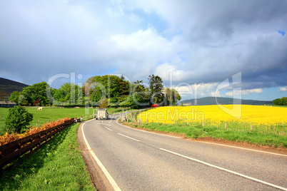 Rural Scottish road with fields of rape