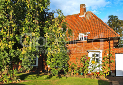 Lovely house with sunflowers on Summer day