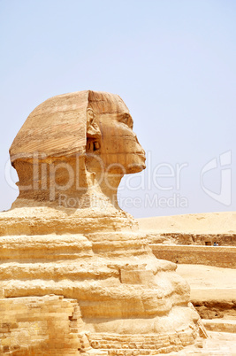 Sphinx in Cairo,Egypt