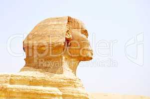 Sphinx in Cairo,Egypt