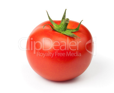 Tomato on white