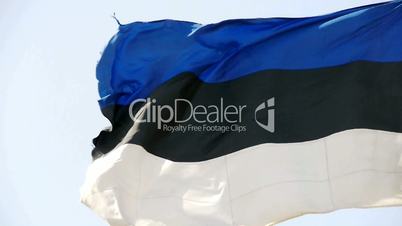 Estonia flag is fluttering in wind.