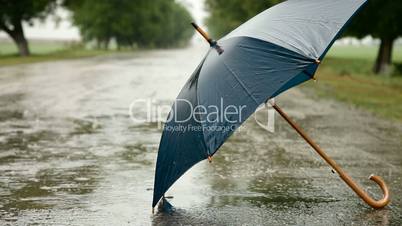 Umbrella In The Rain