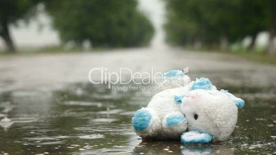 Lost Toy In A Puddle Under Rain