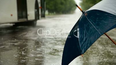 Umbrella On A Rainy Road