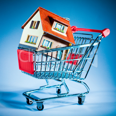 shopping cart and house