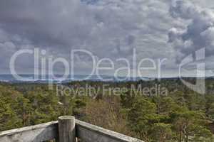 view over forest with cloudy sky