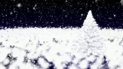 Christmas fur-tree and falling snow