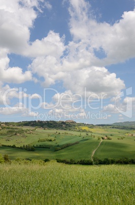 Crete Senesi