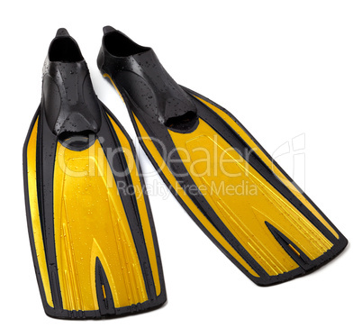 Swim fins on white background