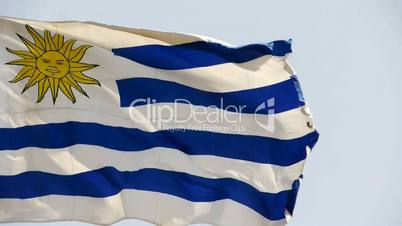 Uruguay flag is fluttering in wind.
