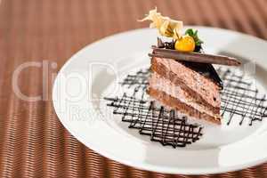 Delicious chocolate cake with physalis