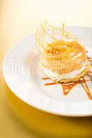 Delicious creamy dessert with caramel topping