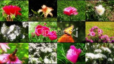 Natural flower collage