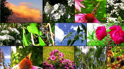 Natural flower collage