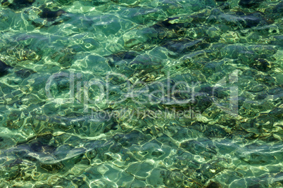 Water background