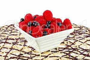 Fresh red raspberries and black currants in the bowl