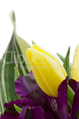 Alstroemeria Flowers