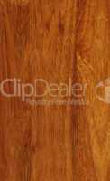 hevea wood texture