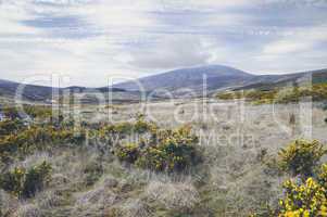 County Wicklow mountains