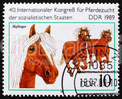 Postage stamp GDR 1989 Haflinger, Breed of Horse