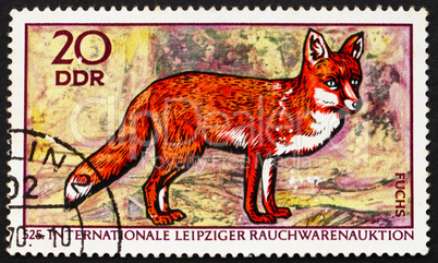 Postage stamp GDR 1970 Red Fox, Vulpes Vulpes