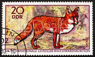 Postage stamp GDR 1970 Red Fox, Vulpes Vulpes