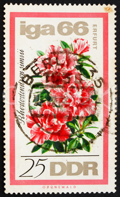 Postage stamp GDR 1966 Rhododendron