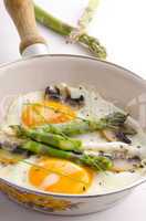 Asparagi with fried egg