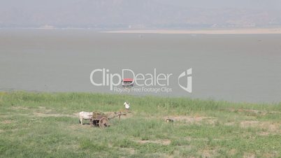 Riverbank of Irrawaddy River