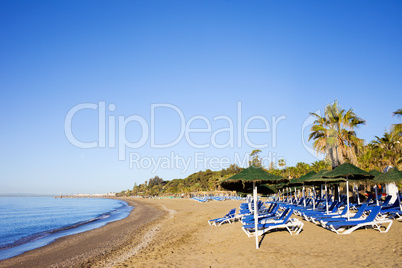 Sun Loungers on a Sandy Beach in Marbella