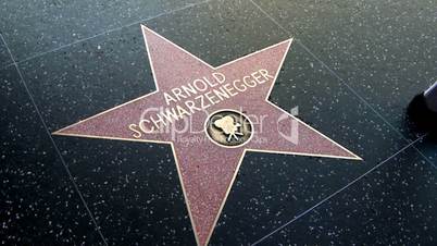 Walk of Fame Schwarzenegger - Garland