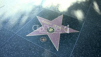 Walk of Fame Randy Newman
