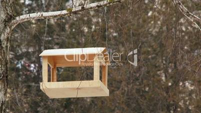 An empty bird feeders