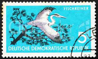 Postage stamp GDR 1959 Grey Heron, Ardea Cinerea, Bird