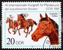Postage stamp GDR 1989 English Thoroughbred, Breed of Horse