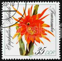 Postage stamp GDR 1989 Feuerzauber, Epiphyllum, Flowering Cacti
