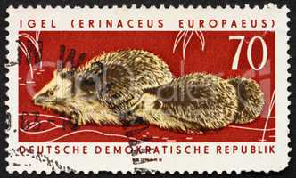 Postage stamp GDR 1963 Hares, Hedgehogs, Erinaceus Europaeus, An